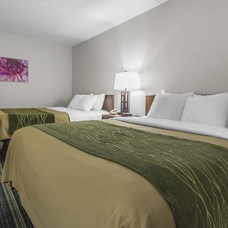 Comfort Inn & Suites Moose Jaw Quarto foto