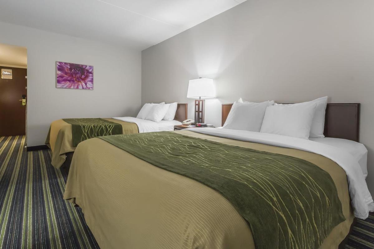 Comfort Inn & Suites Moose Jaw Quarto foto